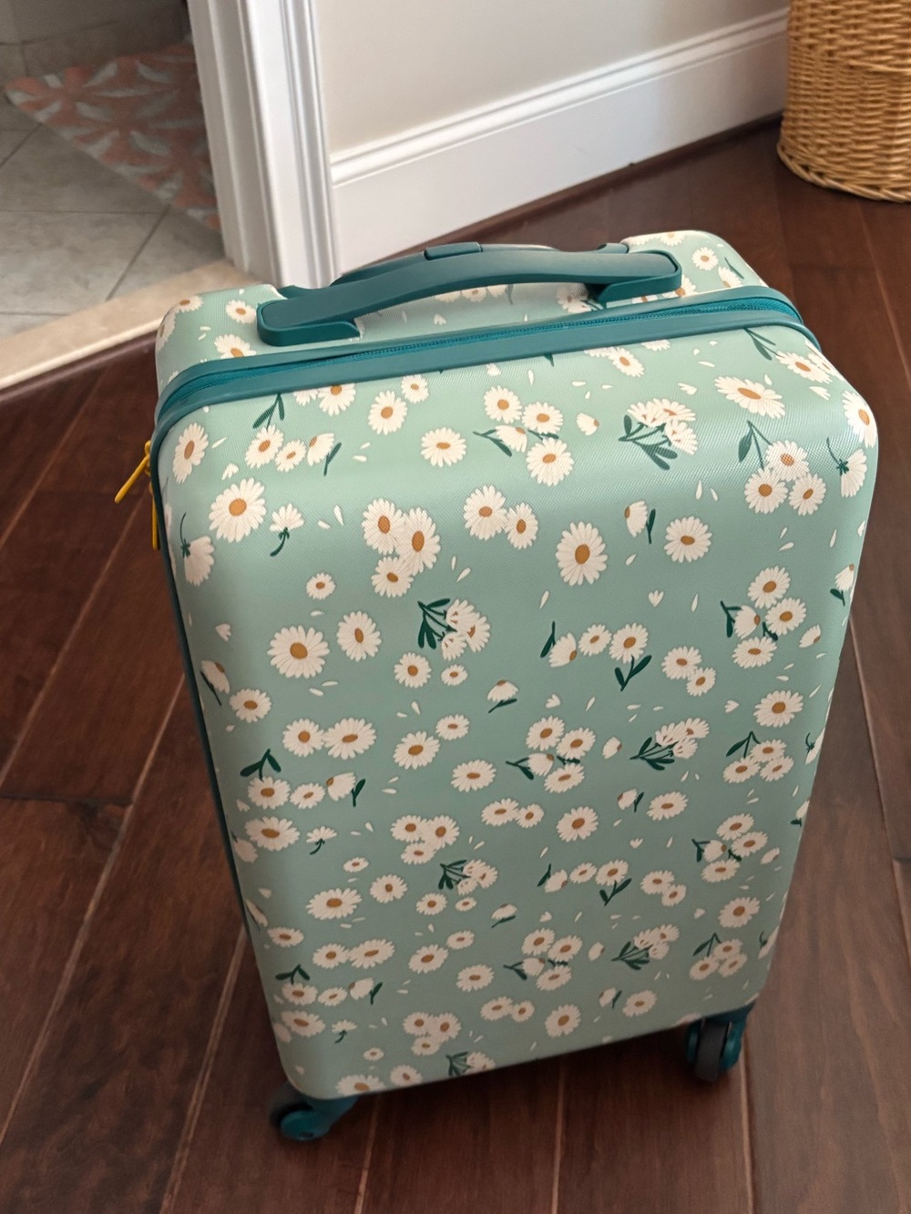 Cat & Jack Light Blue Travel Organizer with Teal Trim